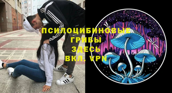 бошки Магас