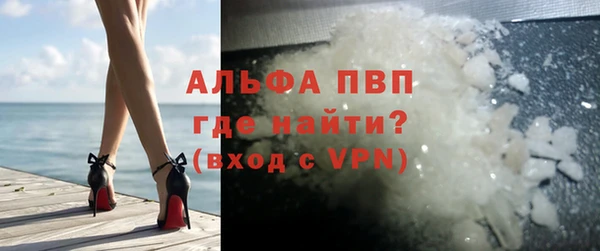 индика Майский