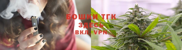 индика Майский