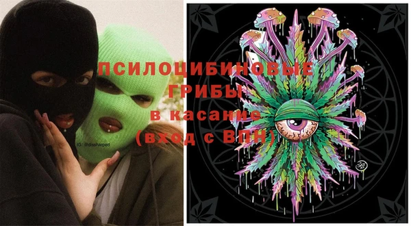дживик Липки