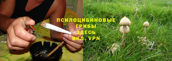 мескалин Медвежьегорск